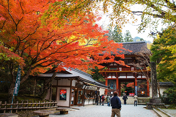 室生寺