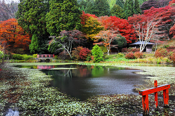 鳥見山公園